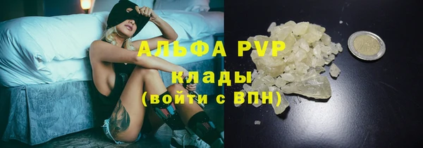 индика Арсеньев