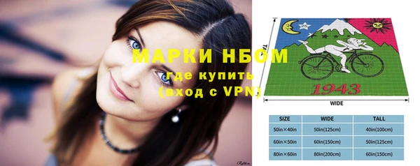 индика Арсеньев