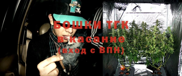 индика Арсеньев