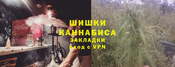 сатива Армянск