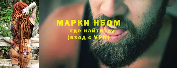 индика Арсеньев