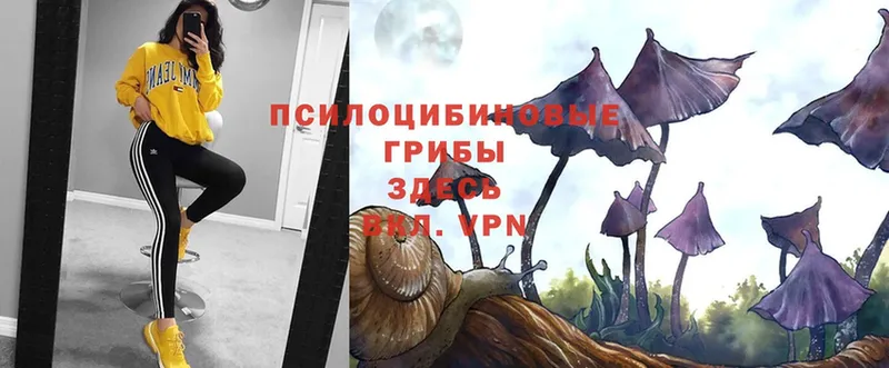 Псилоцибиновые грибы Psilocybe  мориарти официальный сайт  Волгореченск 