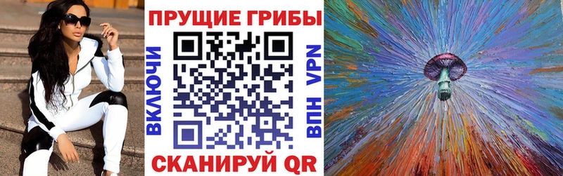 Псилоцибиновые грибы Psilocybe  Волгореченск 